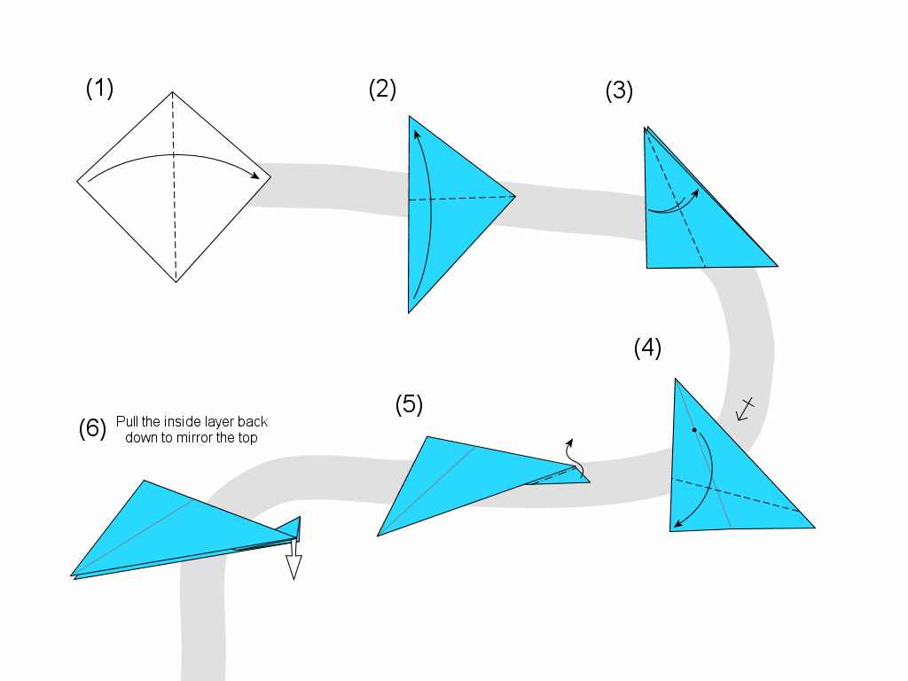 fish diagram page 1