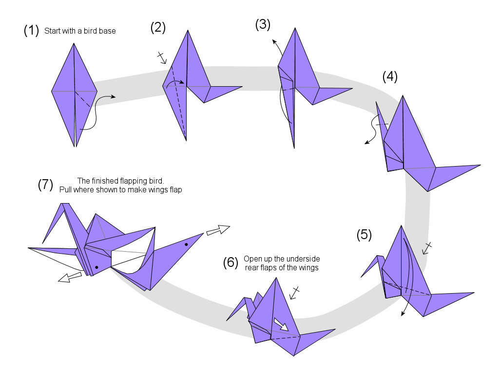 flapping bird diagram