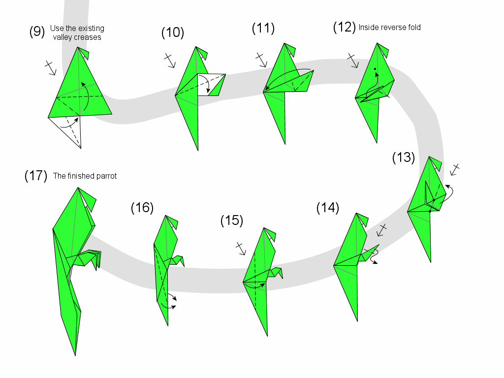 parrot diagram page 2