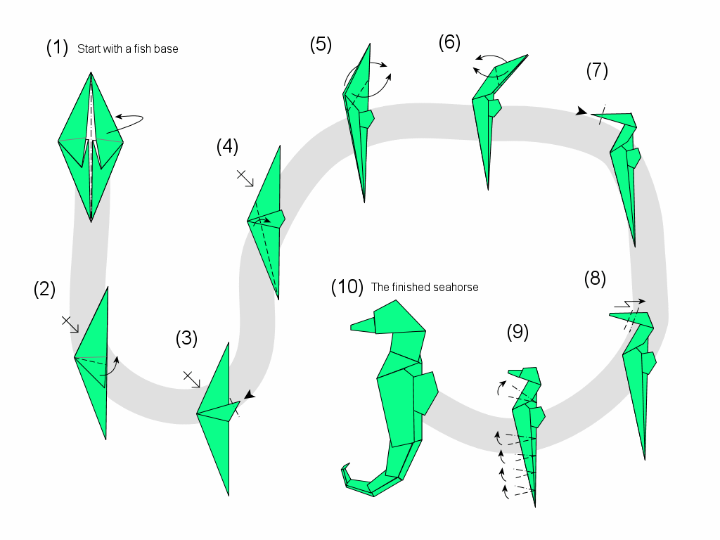 seahorse diagram
