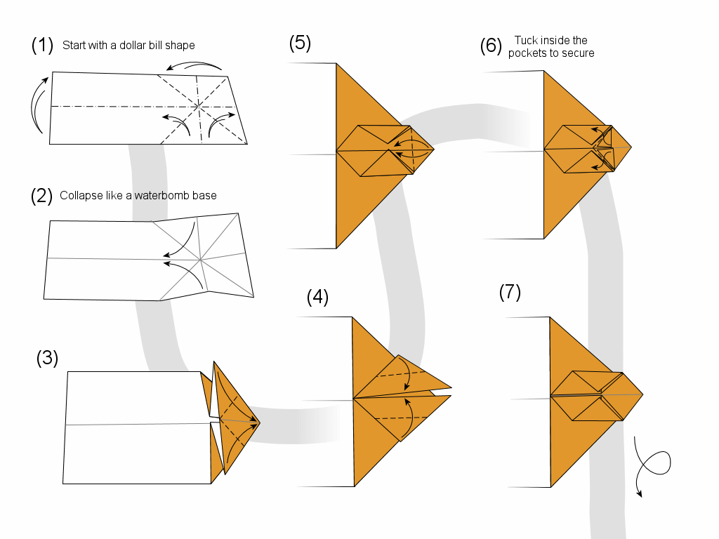 snail diagram page 1