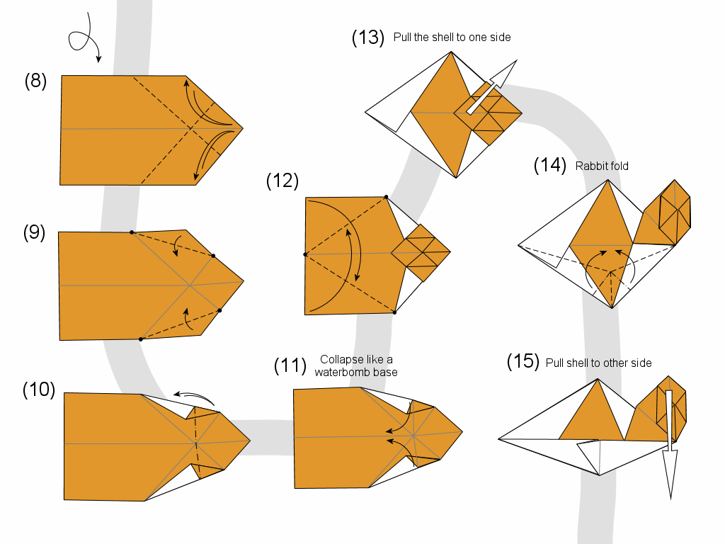 snail diagram page 2