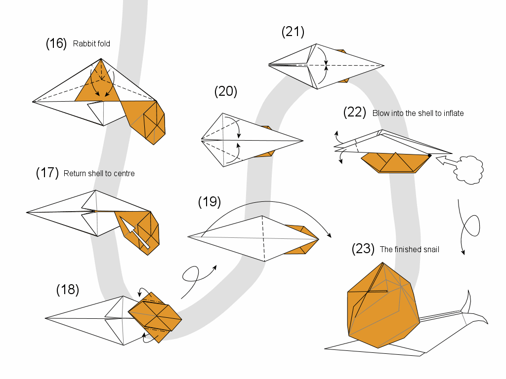 snail diagram page 3